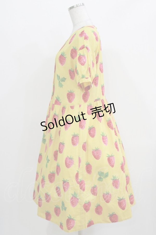 画像2: Jane Marple / Strawberry field sheer dress  マスタード H-26-03-27-015-JM-OP-KB-ZH (2)