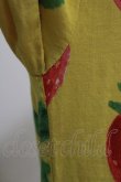 画像5: Jane Marple / Strawberry field sheer dress  マスタード H-26-03-27-015-JM-OP-KB-ZH (5)