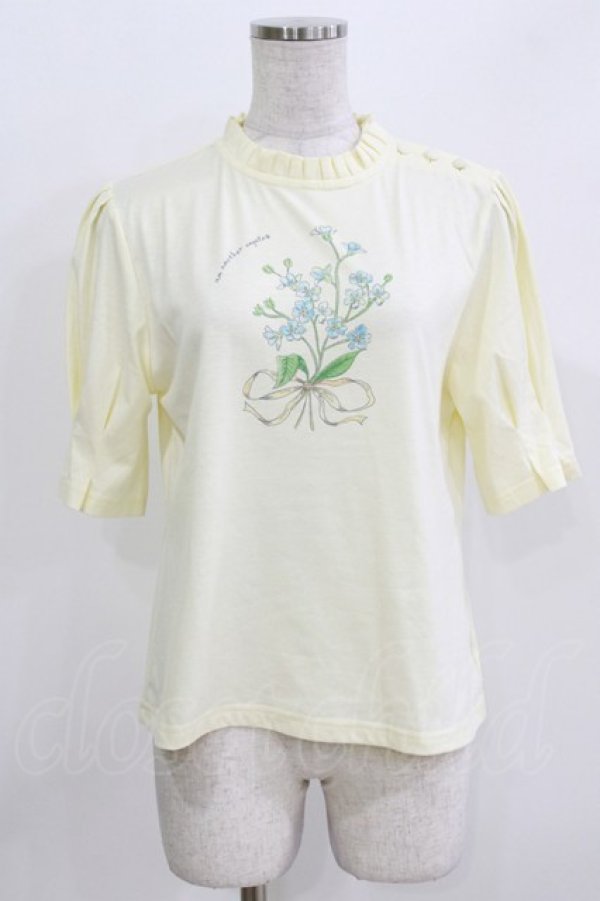 画像1: an another angelus / タックスリーブフラワープリントT Free IVORY H-26-03-29-072-CA-BL-NS-ZH (1)