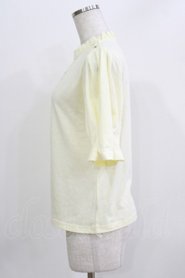 画像2: an another angelus / タックスリーブフラワープリントT Free IVORY H-26-03-29-072-CA-BL-NS-ZH (2)