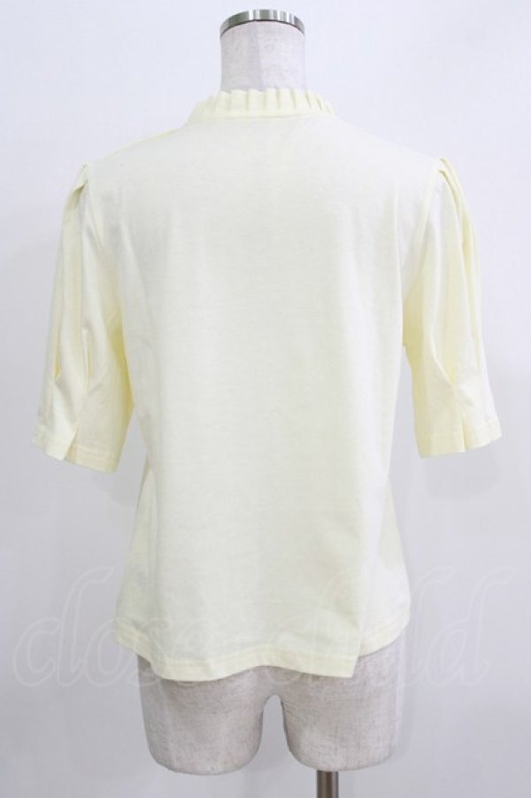 画像3: an another angelus / タックスリーブフラワープリントT Free IVORY H-26-03-29-072-CA-BL-NS-ZH (3)