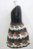 画像2: Leur Getter / Antique Lace Strawberry袖付きワンピース L ブラック H-26-03-30-002-LU-OP-KB-ZH (2)