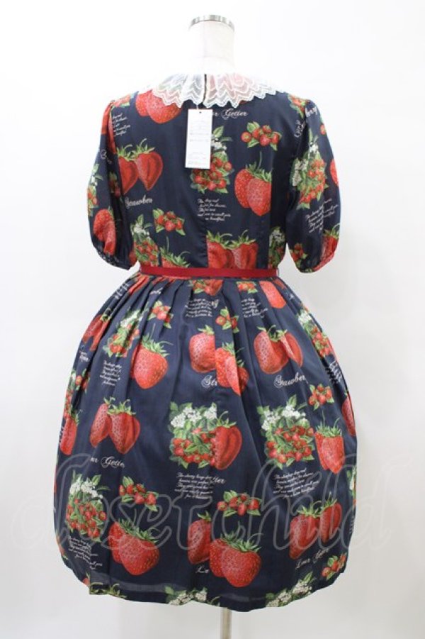 画像2: Leur Getter / Strawberry Garden袖付きワンピース L(トールサイズ) ネイビー H-26-04-02-1021-LU-OP-KB-ZH (2)