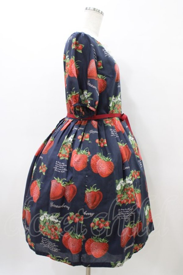 画像3: Leur Getter / Strawberry Garden袖付きワンピース L(トールサイズ) ネイビー H-26-04-02-1021-LU-OP-KB-ZH (3)