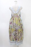 画像2: Jane Marple / La fete foraineエプロンドレス M サックス H-26-04-02-1025-JM-OP-KB-ZH (2)