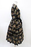 画像3: Jane Marple / Jubilee flowersミニドレス  ブラック H-26-04-02-1009-JM-OP-KB-ZH (3)