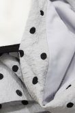 画像3: F&A / リップルドット柄クレリックワンピース Free L/GRAY×BK H-26-04-04-1041-LO-OP-NS-ZH (3)