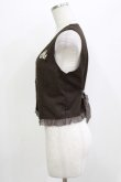 画像2: axes femme POETIQUE / 懐中時計刺繍ベスト M ブラウン H-26-04-06-036-AX-TO-NS-ZH (2)