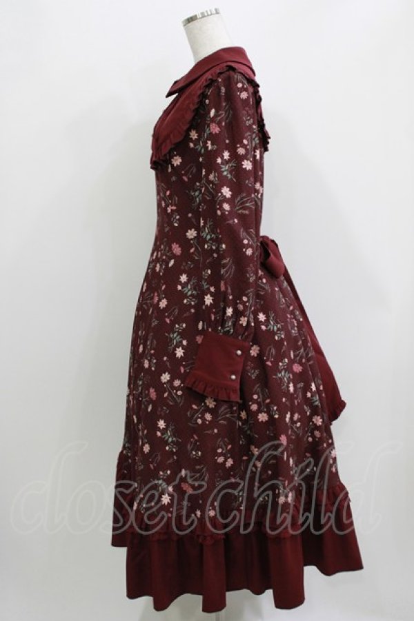 画像2: Hoshibako Works / コスモスハーモニーワンピース M ワイン H-26-04-06-013-LO-OP-NS-ZH (2)