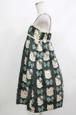 画像2: Leur Getter / Dress Up Catキャミワンピース  グリーン H-26-04-10-023-LU-OP-KB-ZH (2)