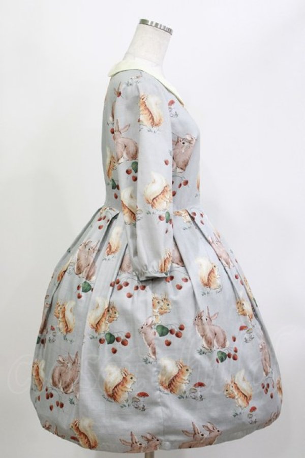 画像2: Leur Getter / Squirrel & Rabbit袖付ワンピース M サックス H-26-04-11-1004-LU-OP-KB-ZH (2)