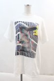 画像1: MILKBOY / TS/HITMANRABBIT TEE  白 I-24-05-17-023-MB-TS-HD-ZT314 (1)