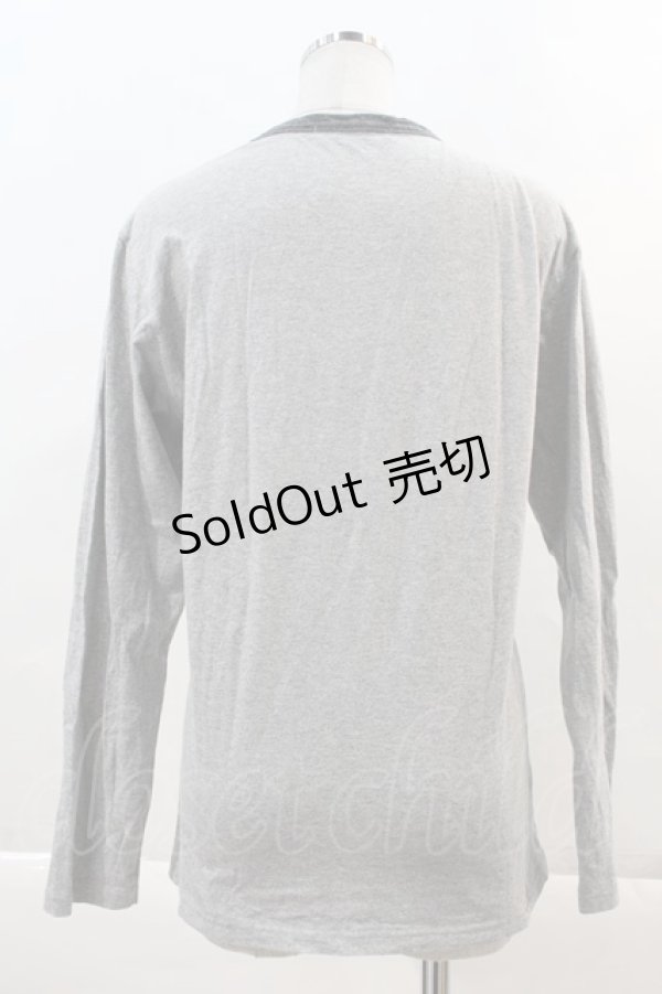 画像2: Karl Helmut Re Plus / 旗風プリントカットソー M グレー I-24-05-22-051-LO-TO-HD-ZI (2)