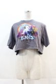 画像1: LAND by MILKBOY / UNICORN CAT TEE  グレー I-24-11-22-008-MB-TO-HD-ZT336 (1)