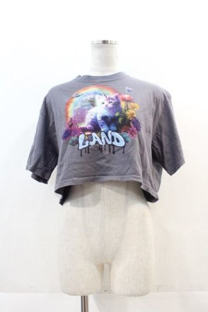 画像: LAND by MILKBOY / UNICORN CAT TEE  グレー I-24-11-22-008-MB-TO-HD-ZT336