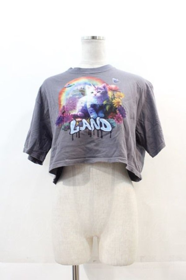 画像1: LAND by MILKBOY / UNICORN CAT TEE  グレー I-24-11-22-008-MB-TO-HD-ZT336 (1)