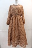 画像1: LEBECCA boutique / 泣きたい夜のワンピース  ブラウン I-24-12-18-043-EL-OP-HD-ZI (1)