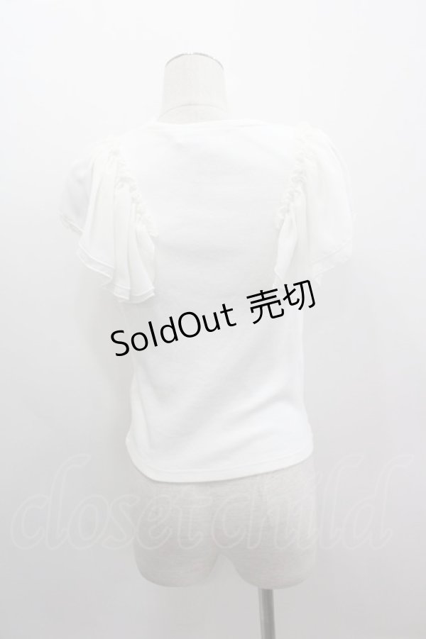 画像2: dazzlin / シフォン袖トップス  白 I-25-03-08-089-LO-TO-HD-ZI (2)