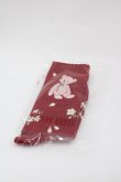 画像1: PINK HOUSE / 桜Teddyソックス  赤 I-25-03-15-108-LO-ZA-HD-ZI (1)