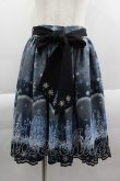画像1: axes femme POETIQUE / 刺繍入り雪柄ミドルスカート  ネイビー I-25-03-23-086-AX-SK-HD-ZI (1)