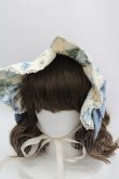 画像1: axes femme kawaii / アンティークローズ柄ハーフボンネット  キナリ I-25-04-04-111-AX-AC-HD-ZI (1)