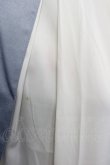 画像4: 頌歌女神 / フロント刺繍ロングスカート L サックス I-25-04-16-086-LO-SK-HD-ZI (4)