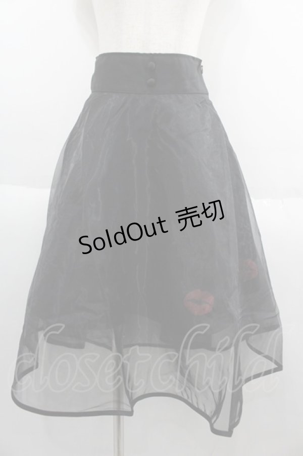 画像1: HELL CAT PUNKS / オーガンジーミモレスカート  ブラック I-25-06-11-051-PU-SK-HD-ZI (1)