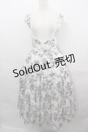 画像: Victorian maiden / アンティークロココブーケエプロンドレス  モノトーン I-25-08-15-071-CL-OP-HD-ZI