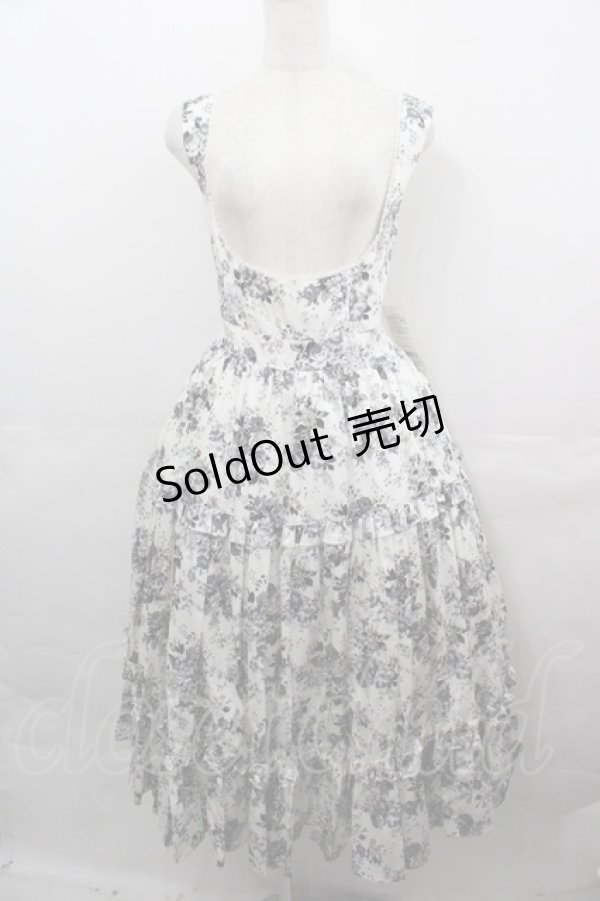 画像1: Victorian maiden / アンティークロココブーケエプロンドレス  モノトーン I-25-08-15-071-CL-OP-HD-ZI (1)