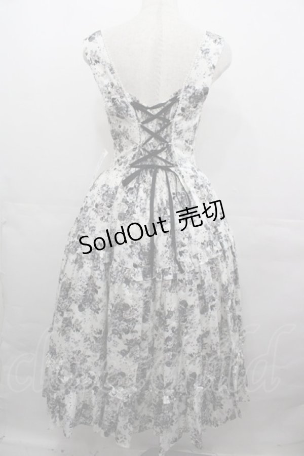 画像2: Victorian maiden / アンティークロココブーケエプロンドレス  モノトーン I-25-08-15-071-CL-OP-HD-ZI (2)