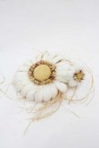 画像1: PINK HOUSE / 雛菊コサージュ  白Ｘブラウン I-25-09-15-106-LO-AC-HD-ZI (1)