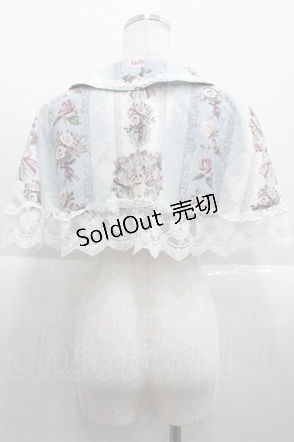 画像2: Royal Princess Alice / Rococo Rose Cat ケープ  ブルー I-25-09-15-016-LO-TO-HD-ZI (2)