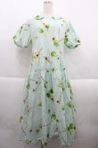 画像1: PINK HOUSE / クリームソーダプリントミディワンピース  グリーン I-25-09-21-068-LO-OP-HD-ZI (1)