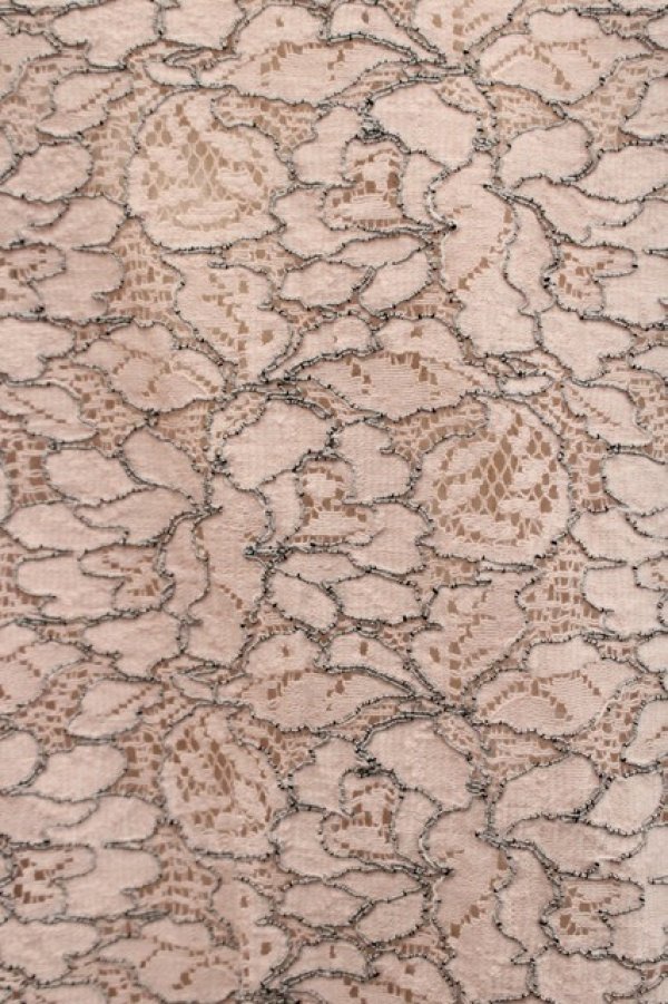 画像3: INGEBORG / レースポロシャツ 3サイズ(9号) ピンク I-25-09-21-021-LO-TO-HD-ZI (3)