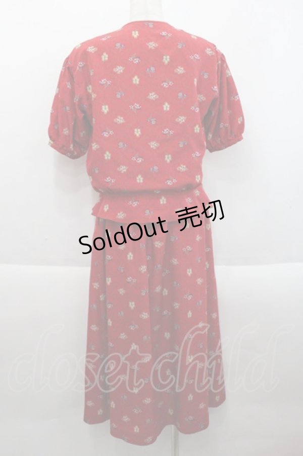 画像2: PINK HOUSE / ボダニカル柄セットアップ  レッド I-25-09-21-022-LO-BL-HD-ZI (2)