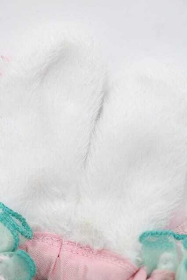 画像4: Angelic Pretty / Happiness Easterお袖とめ  ミントＸ白 I-25-09-27-069-AP-ZA-SA-ZI (4)