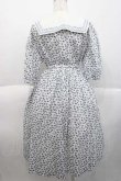 画像2: Jane Mrple / Harmony cross stitch collar dress ドレス  白Ｘ青 I-25-10-10-053-LO-OP-SA-ZI (2)