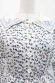 画像3: Jane Mrple / Harmony cross stitch collar dress ドレス  白Ｘ青 I-25-10-10-053-LO-OP-SA-ZI (3)