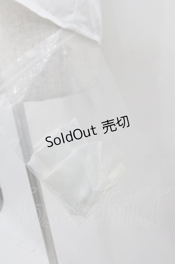 画像2: Amavel / Classical Doll レースフリルブラウス  白 I-25-10-24-058-CA-BL-SA-ZI (2)