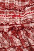 画像3: PINK HOUSE / オリジナルチェックスカート  ピンクチェック I-25-10-29-088-LO-SK-SA-ZI (3)