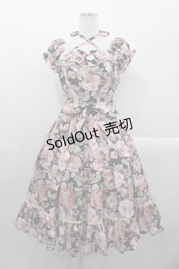 画像1: Victorian maiden / ローズゴブランポリーヌドレスワンピース  ブラック I-25-10-29-027-CL-OP-SA-ZI (1)