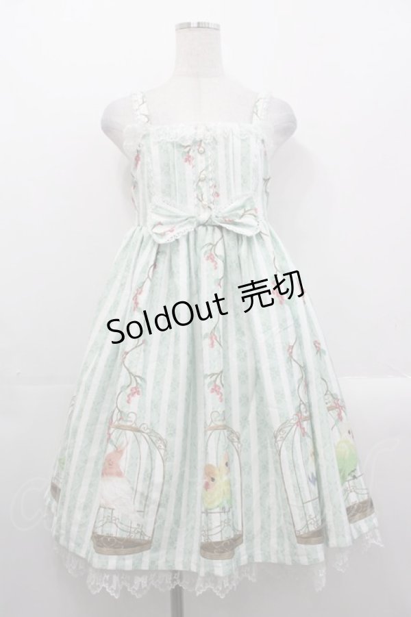 画像1: Le Palais du Miroir（海外ロリータブランド） / 小鳥柄ジャンパースカート  グリーンＸ白 I-25-10-29-044-LO-OP-SA-ZI (1)