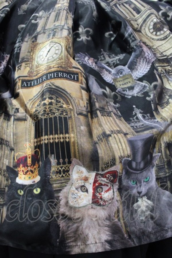 画像3: ATELIER PIERROT / Evening Partyスカート  黒 I-25-11-12-074-EL-SK-SA-ZI (3)