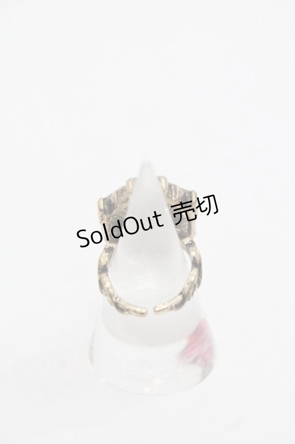 画像2: axes femme / ゴシックローズリング  赤 I-25-11-12-104-AX-AC-SA-ZI (2)