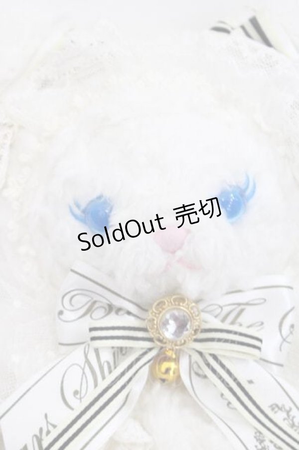 BABY,THE STARS SHINE BRIGHT / Petit chat blancなねこくみゃちゃん