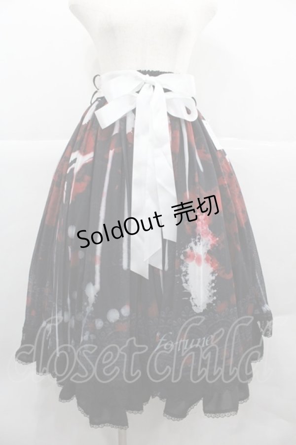 画像1: Triple fortune / ブラッディスカート  黒Ｘ赤Ｘ白 I-25-12-06-098-EL-SK-SA-ZI (1)