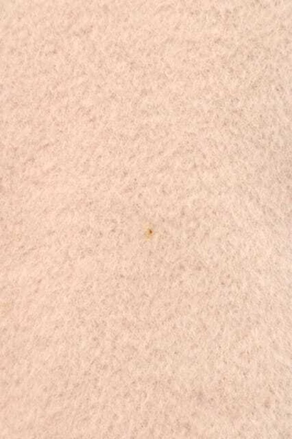 画像7: Mary Magdalene / ガブリエラコート  ピンク I-25-12-09-039-CL-CO-SA-ZI (7)