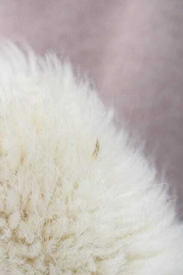 画像13: Mary Magdalene / ガブリエラコート  ピンク I-25-12-09-039-CL-CO-SA-ZI (13)