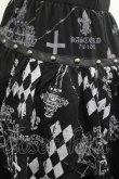 画像4: SEX POT ReVeNGe / チュール&後ろ段フリルスカート  黒Ｘグレー I-25-12-09-080-SP-SK-SA-ZI (4)