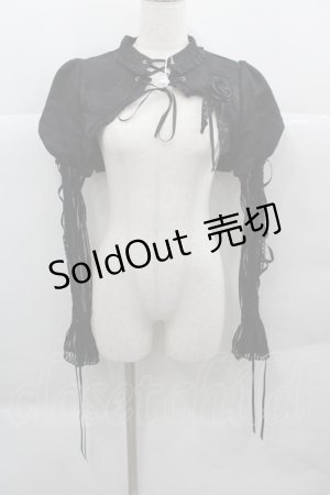 画像: MORY HITOMI（海外ロリータブランド） / 薔薇ジャガード&袖シースルーボレロ M 黒 I-25-12-13-042-LO-TO-SA-ZI